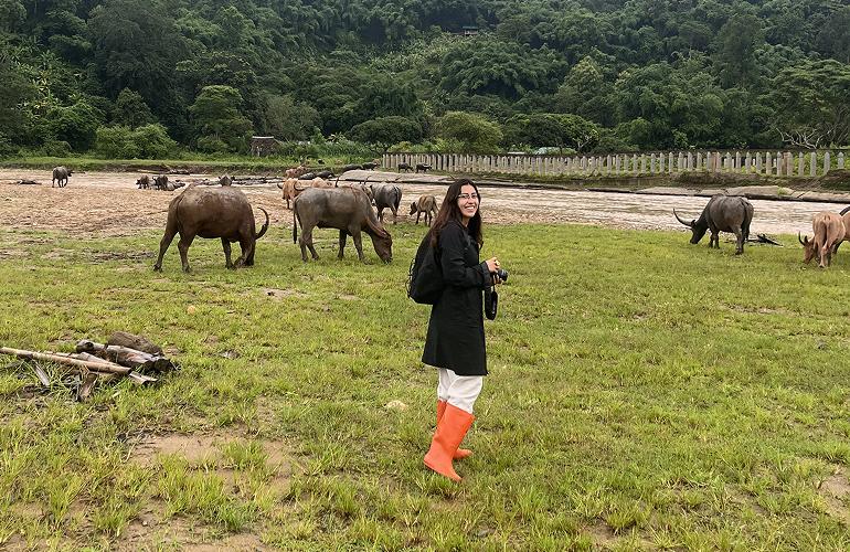 Daniela photographing buffalo in Thailand